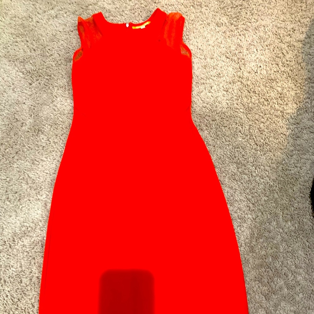 Tangerine Gianni Bini dress